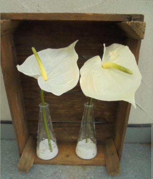 VAAS VINTAGE 1990 TAPS 18,5x dia 7,5 cm Flamingobloem set 2, Antiek en Kunst, Antiek | Glas en Kristal, Ophalen of Verzenden
