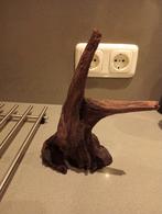 Drift wood voor in het aquarium., Ophalen of Verzenden, Nieuw, Plant(en), Steen of Hout