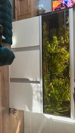 Akvastabil fusion 200x60x 60 inclusief toe behoren, Ophalen, Gevuld zoetwateraquarium