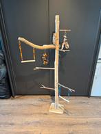 Parkieten & Papagaaien speelboom!, Ophalen of Verzenden, Kooi-accessoires