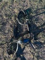 Hoofdstel Schockemöhle Equitus Beta, Dieren en Toebehoren, Paarden en Pony's | Hoofdstellen en Tuigage, Ophalen of Verzenden, Gebruikt