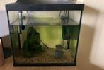 Superfish Aquarium, Dieren en Toebehoren, Ophalen, Leeg aquarium