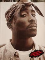 Tupac Shakur - interview collectie, Boeken, Muziek, Gelezen, Artiest, Vibe magazine, Ophalen