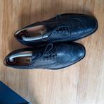 Van Bommel,  brogues nachtblauw maat 41,5 / 7,5, Kleding | Heren, Schoenen, Van Bomnel, Blauw, Ophalen of Verzenden, Gedragen