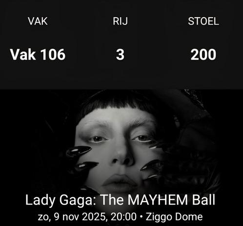 Lady Gaga Amsterdam, 1 ticket, GEWELDIGE PLEK, Tickets en Kaartjes, Concerten | Pop, Eén persoon, November