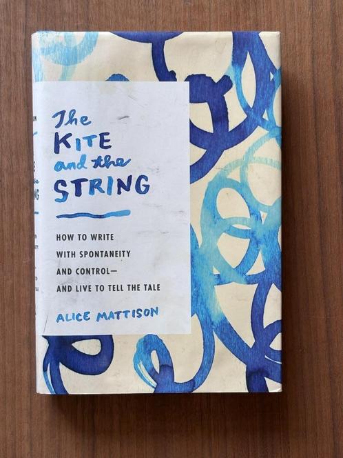 Boek: The Kite and the String - Alice Mattison, Boeken, Overige Boeken, Gelezen, Ophalen of Verzenden