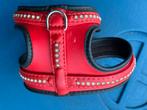 Lederen tuigje maat s, Dieren en Toebehoren, Ophalen of Verzenden, Zo goed als nieuw