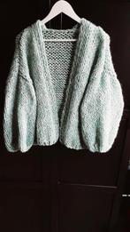 Handgebreid vest, Kleding | Dames, Truien en Vesten, Ophalen of Verzenden, Nieuw
