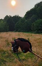 Hobby Horse - Stokpaard, Ophalen of Verzenden, Zo goed als nieuw, Jongen of Meisje