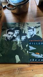 Curiosity killed the cat keep your distance, Ophalen of Verzenden, Zo goed als nieuw, 12 inch