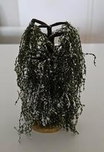 B6 - 2 treurwilgen met sneeuw, Ophalen of Verzenden