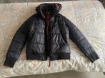 G-star Gstar Winterjas Heren XL, Verzenden, Maat 56/58 (XL), Blauw