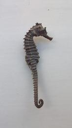 Gemummificeerd zeepaardje, Verzamelen, Ophalen of Verzenden