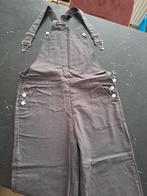 Lichtgrijze tuinbroek, Ophalen of Verzenden, Gedragen, Maat 36 (S), Grijs