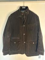 Fay ribfluweel jas, maat XXL, Ophalen of Verzenden, Zo goed als nieuw, Overige maten, Bruin