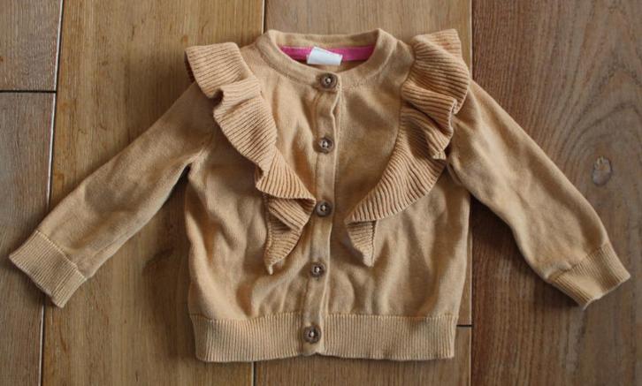 Vestje van Hema 62, Kinderen en Baby's, Babykleding | Maat 62, Zo goed als nieuw, Meisje, Truitje of Vestje, Ophalen of Verzenden