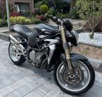 MV Agusta Sport F4 750 Brutale S, 750 cc, 4 cilinders, Bedrijf, Meer dan 35 kW