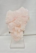 Roze Haliet, Verzenden