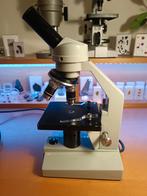 Motic microscoop voor onderdelen, Audio, Tv en Foto, Optische apparatuur | Microscopen, Ophalen of Verzenden, Niet werkend, Minder dan 400x