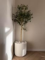 Kunst olijfboom met bloempot, Huis en Inrichting, Woonaccessoires | Zuilen en Pilaren, Ophalen, Zo goed als nieuw