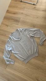 Gran Sasso trui maat 54, Kleding | Heren, Truien en Vesten, Maat 52/54 (L), Ophalen of Verzenden, Grijs, Gran Sasso