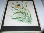 oude prent vogel, Ophalen of Verzenden, Gebruikt, Dier, Prent