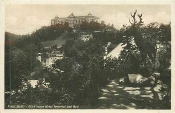 (381-314-053) Karlsbad Blick gegen Hotel Imperial und Bad beschikbaar voor biedingen