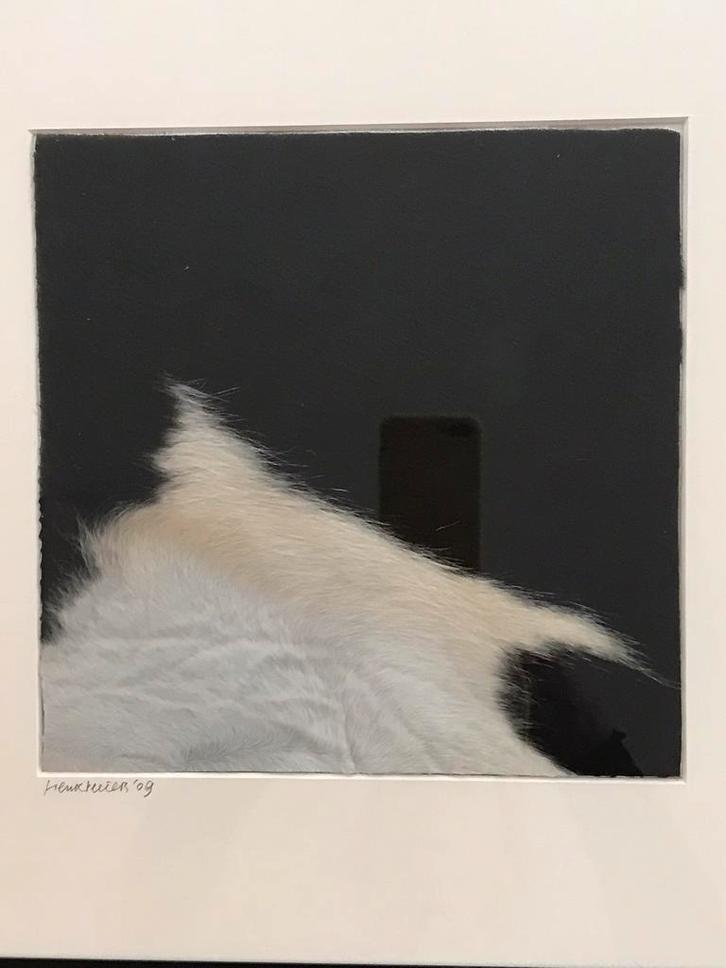 Henk Peeters, koeienhuid, Antiek en Kunst, Kunst | Overige Kunst, Ophalen of Verzenden