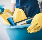 GEZOCHT: Ervaren schoonmaakster - A'dam, Overige uren, Overige niveaus, Vanaf 3 jaar, Overige vormen
