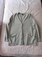 Aspa groen grijs dames vest maat 46, Ophalen of Verzenden, Gedragen, Maat 46/48 (XL) of groter, Groen