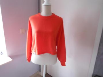 nieuwe koraal sweater Pantone van Bershka, mt XS-S beschikbaar voor biedingen