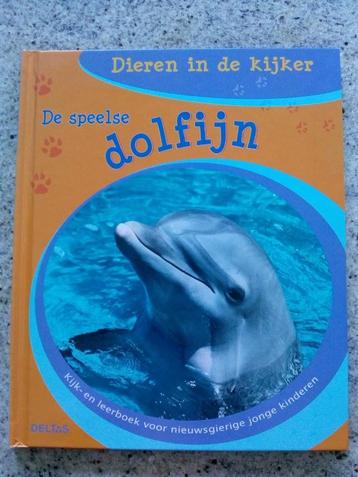 Dieren in de kijker De speelse dolfijn (w) beschikbaar voor biedingen