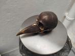 Mythische snavelbek figuur!, Ophalen of Verzenden