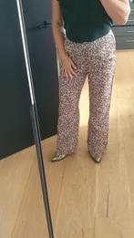 Aaiko zomer Ibiza pantalon cheeta print, Nieuw, Lang, Ophalen of Verzenden, Aaiko