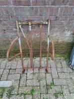 Overwenbox schaap, Dieren en Toebehoren, Vrouwelijk, Schaap