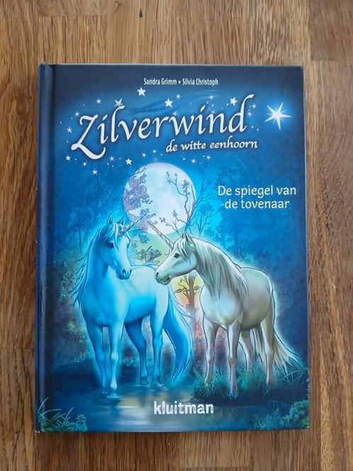 Sandra Grimm - De spiegel van de tovenaar, Boeken, Kinderboeken | Jeugd | onder 10 jaar, Zo goed als nieuw, Ophalen of Verzenden