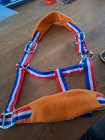 Hb halster Holland pony, Dieren en Toebehoren, Paarden en Pony's | Hoofdstellen en Tuigage, Ophalen of Verzenden, Nieuw, Overige soorten