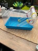 Hamsterkooi + accesoires, Dieren en Toebehoren, Minder dan 60 cm, Kooi, Minder dan 75 cm, Ophalen of Verzenden