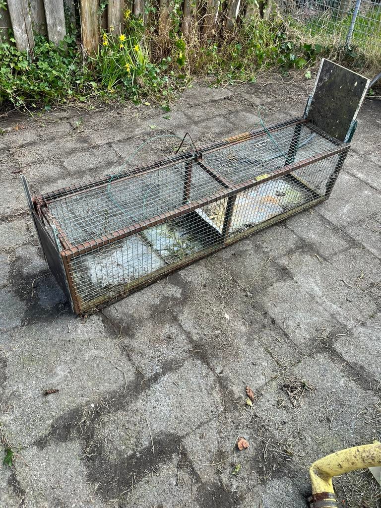 Steenmarter vangkooi.31x33x132 cm., Ophalen of Verzenden, Zo goed als nieuw, Kooi, Minder dan 60 cm