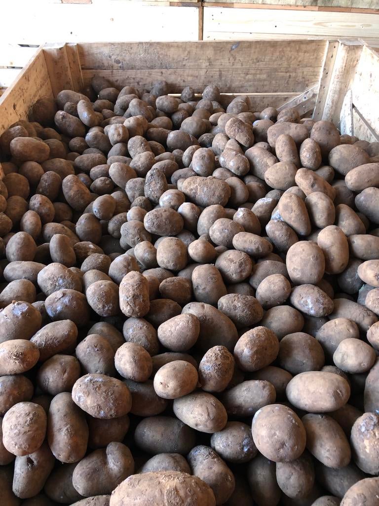 Agri aardappelen te koop ongeveer 120 ton., Diversen, Levensmiddelen, Ophalen of Verzenden