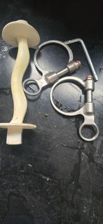 Winderen tongboog slim, Dieren en Toebehoren, Ophalen of Verzenden, Overige soorten