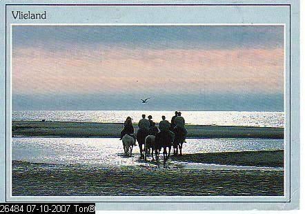 Ansichtkaart	Vlieland	Paarden op het strand, Verzamelen, Ansichtkaarten | Nederland, Verzenden, 1980 tot heden, Gelopen, Waddeneilanden