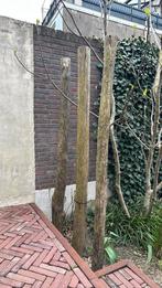 Tuin palen kastanje hout 250 cm lang, Ophalen, Zo goed als nieuw, 250 cm of meer, Palen