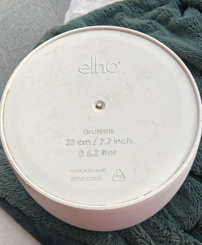 Elho bloempot Brussels 22cm - Wit, Tuin en Terras, Bloembakken en Plantenbakken, Kunststof, Gebruikt, Minder dan 30 cm, Minder dan 60 cm