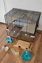 Grote hamsterkooi, Dieren en Toebehoren, Ophalen, Minder dan 75 cm, Kooi, Minder dan 60 cm