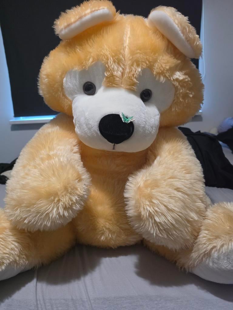 XL Vos Knuffel - Grote en Zachte Knuffelbeer, Ophalen, Zo goed als nieuw, Overige typen