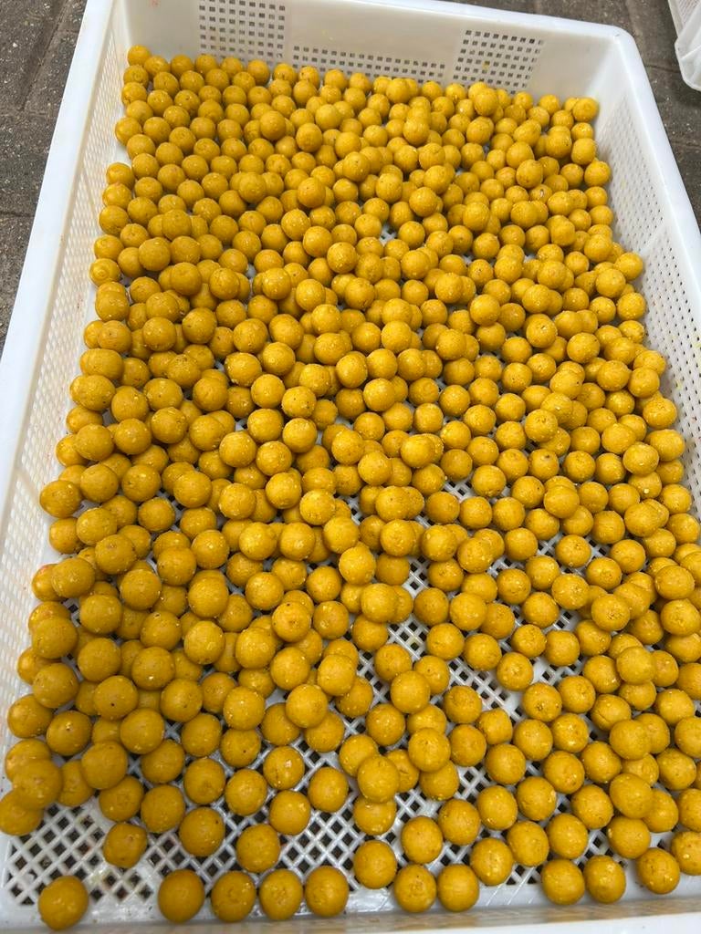 Mighty mango boilie, Ophalen of Verzenden, Nieuw, Overige typen