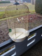 Tk Mooie goudkleurige complete vogelkooi 20 euro, Dieren en Toebehoren, Vogels | Hokken en Kooien, Ophalen of Verzenden, Zo goed als nieuw