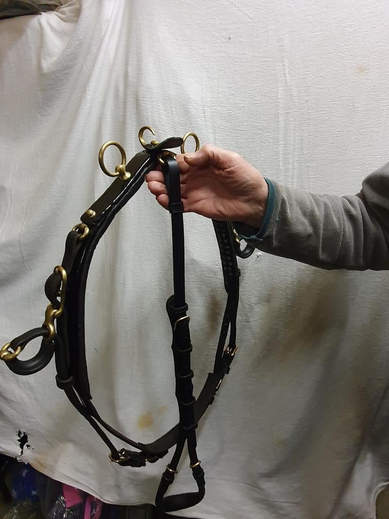 Luxe HACKNEY CONCOURS TUIGJE ..LAKLEER.  KOPER.  .  ENGELS, Dieren en Toebehoren, Paarden en Pony's | Hoofdstellen en Tuigage