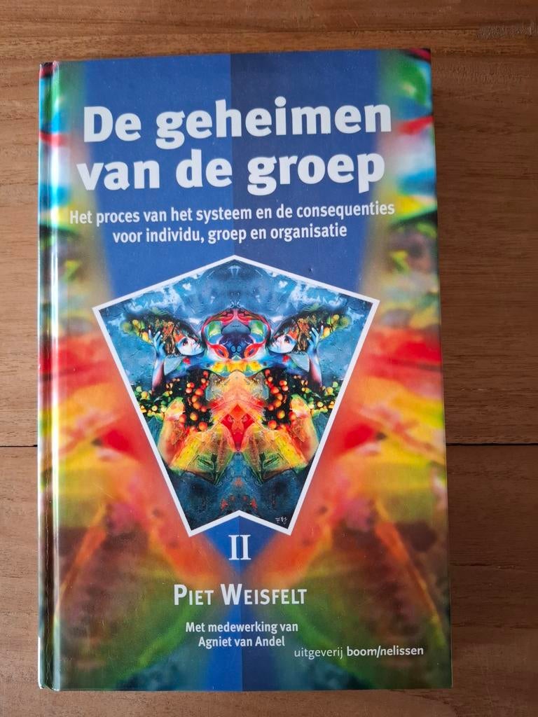 Piet Weisfelt - De geheimen van de groep II, Ophalen, Sociale wetenschap, Zo goed als nieuw, Piet Weisfelt; Agniet van Andel